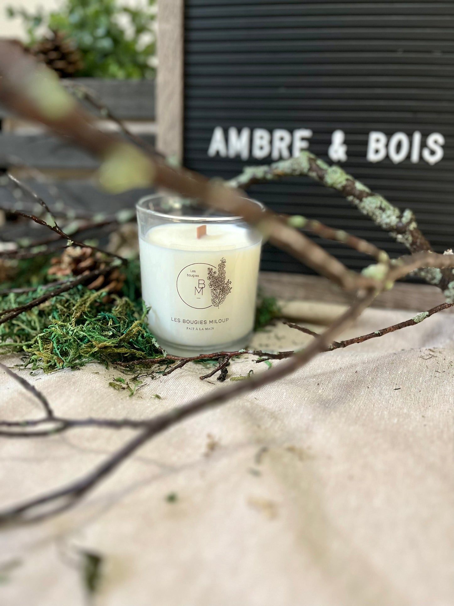 Ambre et bois